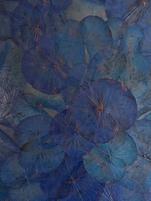 dark-blue-lotus-leaf-canvas