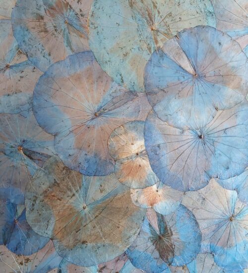 natural-lotus-leaf-canvas-turquoise