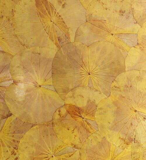 real-leaves-on-canvas-lotus