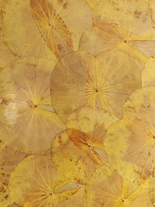 real-leaves-on-canvas-lotus