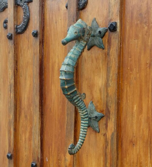 cast-bronze-seaside-seahorse-handle